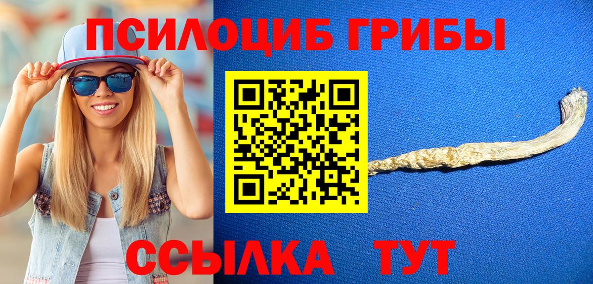 Галлюциногенные грибы Cubensis  Вход с VPN  Новошахтинск 